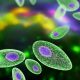 Viral Infection In Green Background.